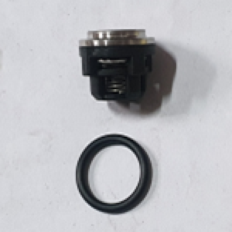 Van 1 chiều,gioăng làm kín - Phụ kiện dùng cho máy rửa áp lực cao nước lạnh Koisu Model:15M30-4T2, 15M26-3.7S2