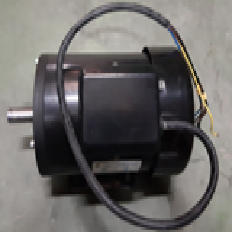 Mô tơ 1 pha Công suất 750W - Phụ kiện dùng cho máy ra vào lốp SR112M