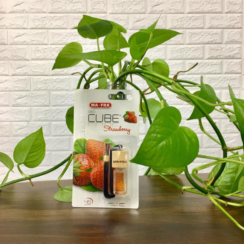 Tinh dầu nước hoa ô tô DECO CUBE 4.5 mL (Hương Dâu)