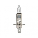 Bóng đèn pha halogen H1 12V/55W