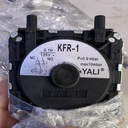 Công tắc áp suất khí nén - Phụ kiện của Máy làm sạch buồng đốt ô tô, 4.5 KVA (Khí hydro) model KS6000TP