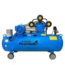 Máy nén khí piston 7.5HP, bình tích 330 lít